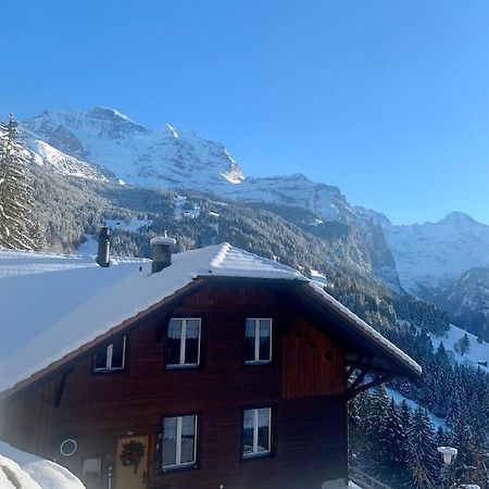 Chalet Aargovia Wengen Buitenkant foto