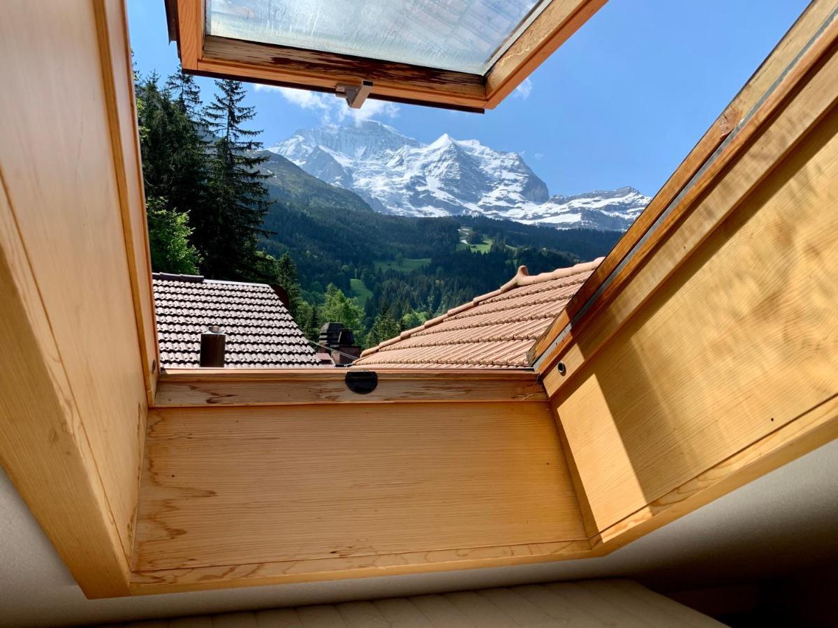 Chalet Aargovia Wengen Buitenkant foto