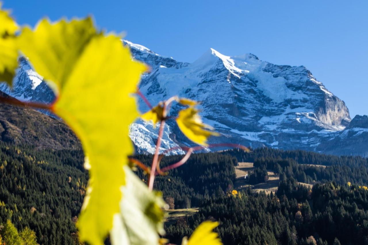 Chalet Aargovia Appartement Wengen Buitenkant foto