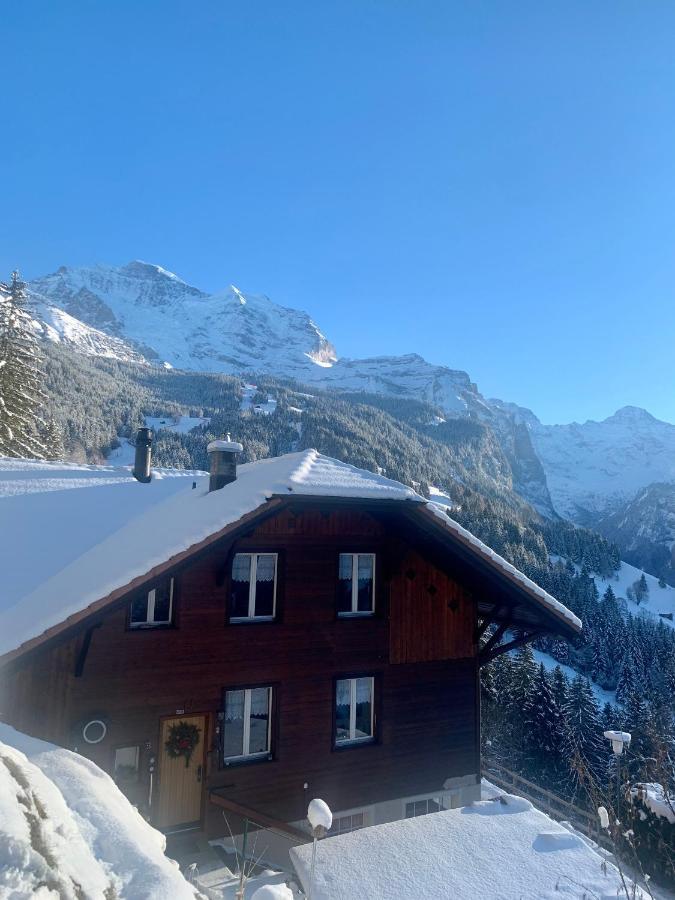 Chalet Aargovia Appartement Wengen Buitenkant foto