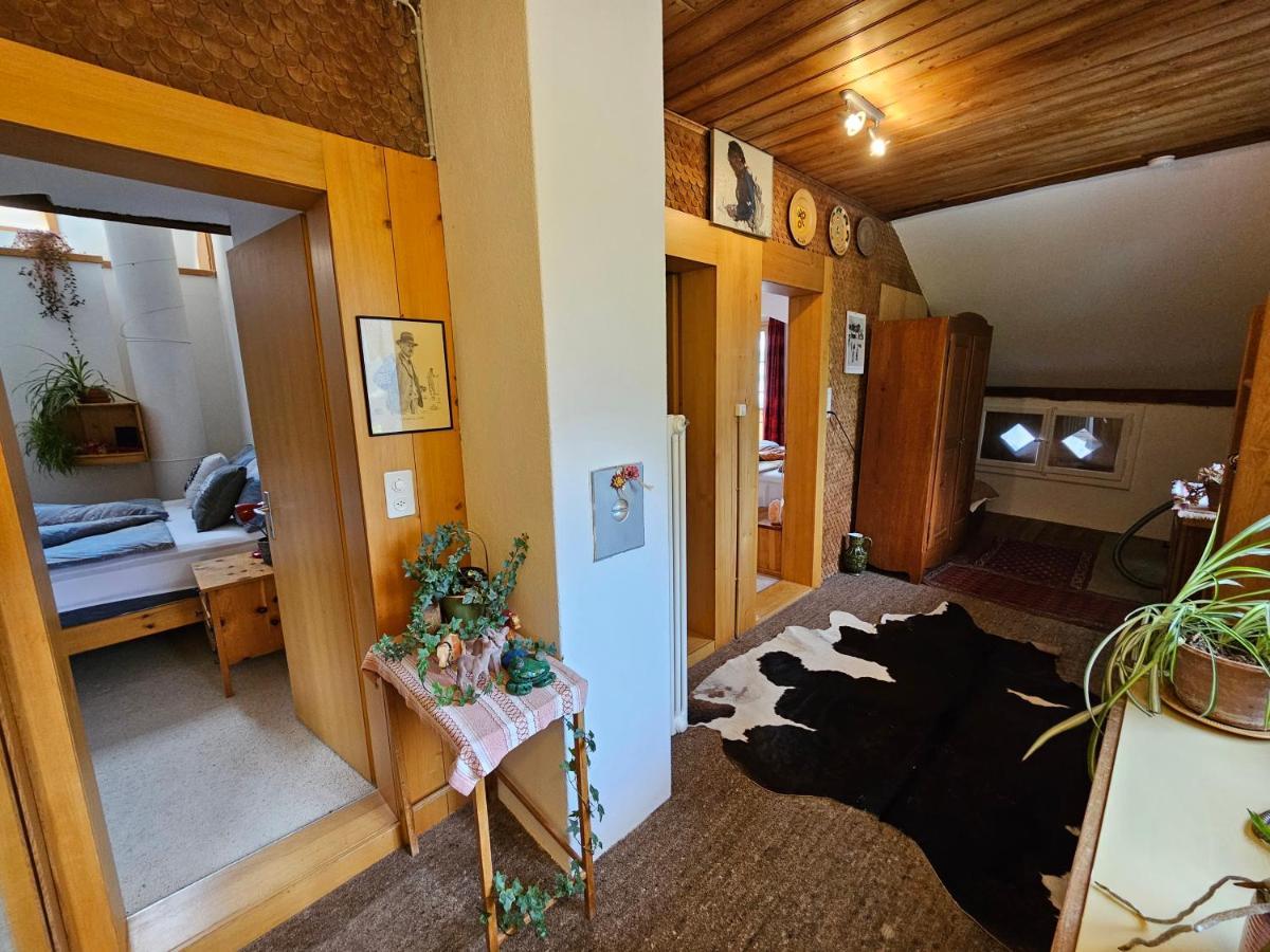 Chalet Aargovia Wengen Buitenkant foto